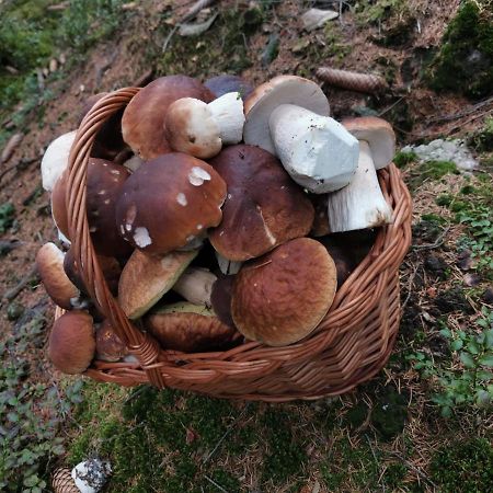Hostinec U Pejska A Kocicky Маріанські Лазні Екстер'єр фото